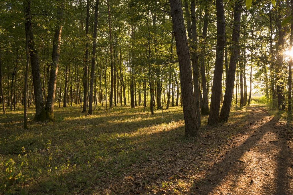Le Relais Des Landes - Demeures Et Chateaux Le Controis-en-Sologne